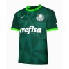 Oficiální Fotbalový Dres Palmeiras 2023-24 Domácí pro Muži